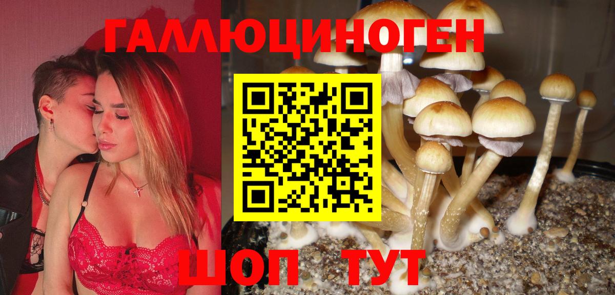Псилоцибиновые грибы мицелий  Вход с VPN  Карабулак  Псилоцибиновые грибы Psilocybine cubensis 